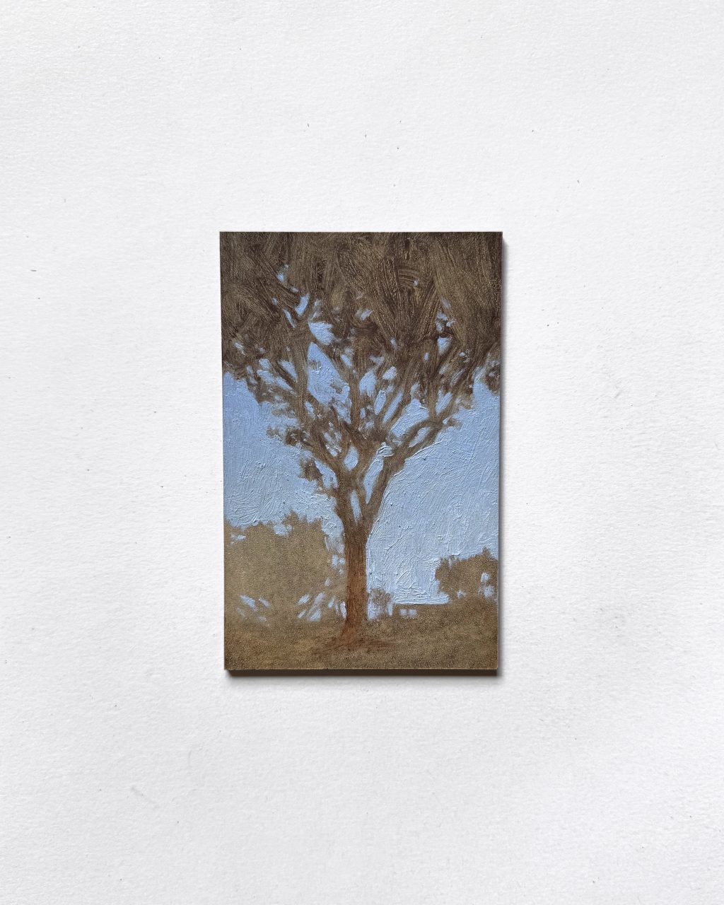 Tree, Monterey Park