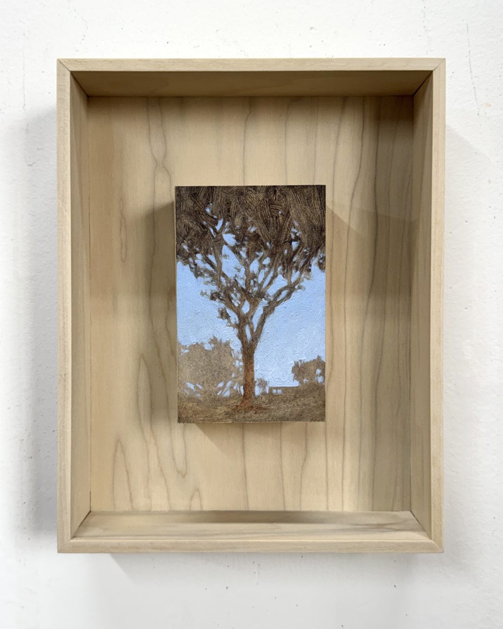 Tree, Monterey Park