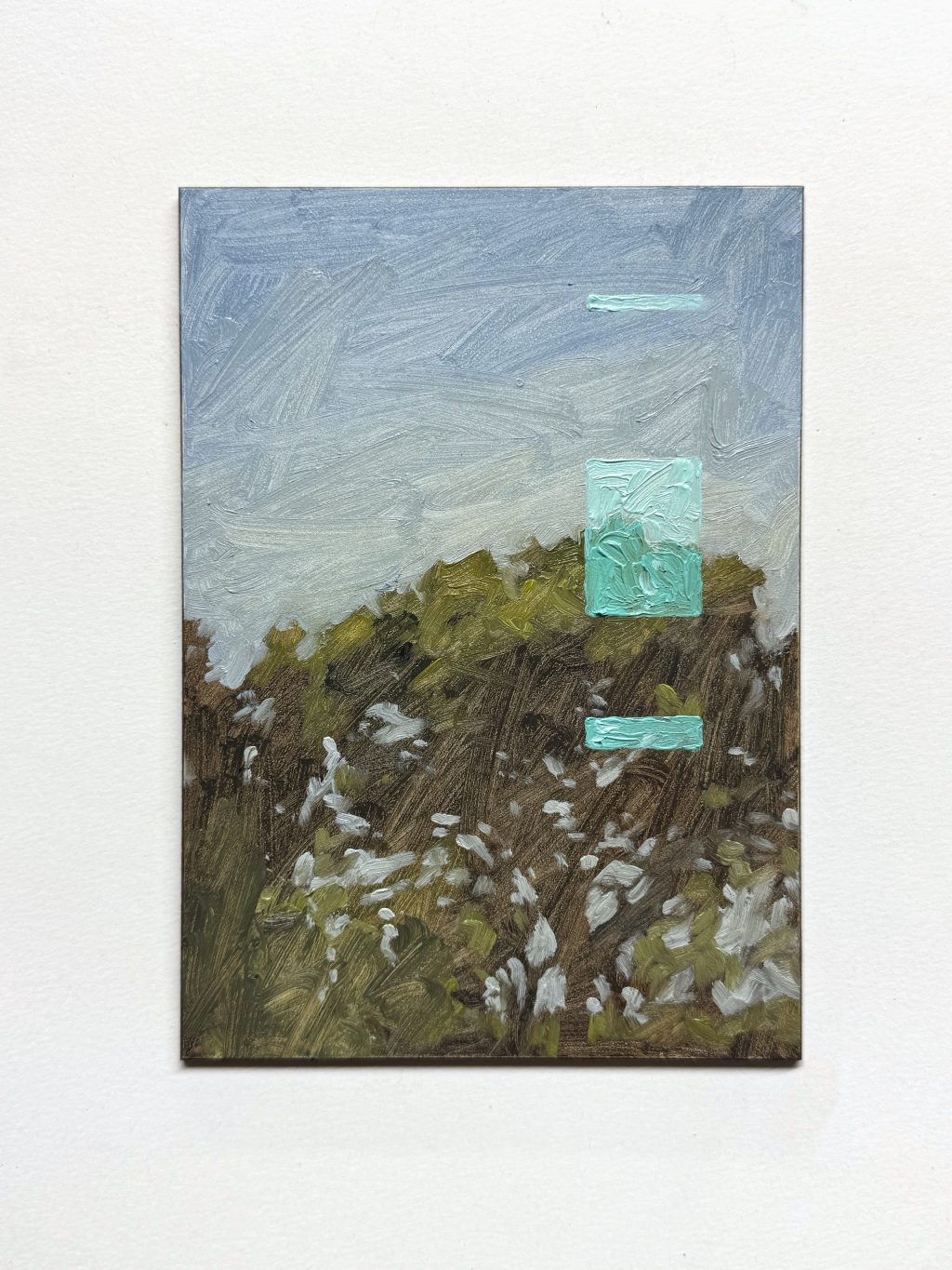 Study of a Tree in Bakersfield